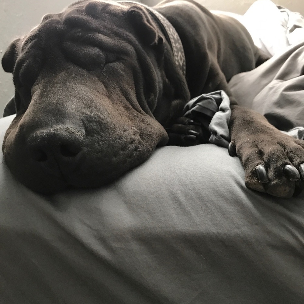 Meet your Posher, Ly